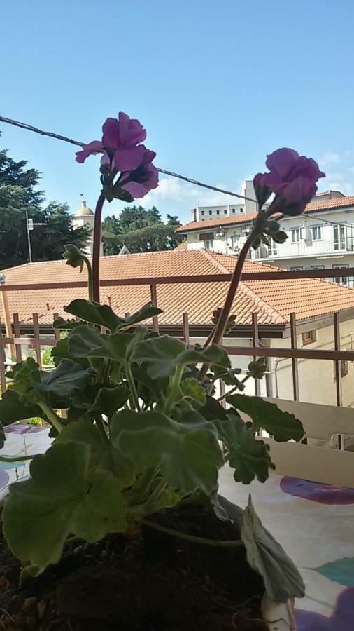Casa Vacanza Xenia Agerola Eksteriør billede